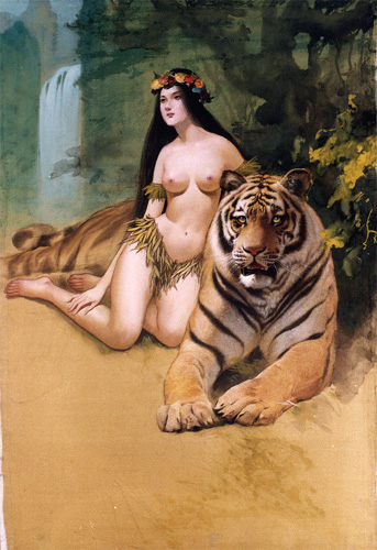 美女与老虎